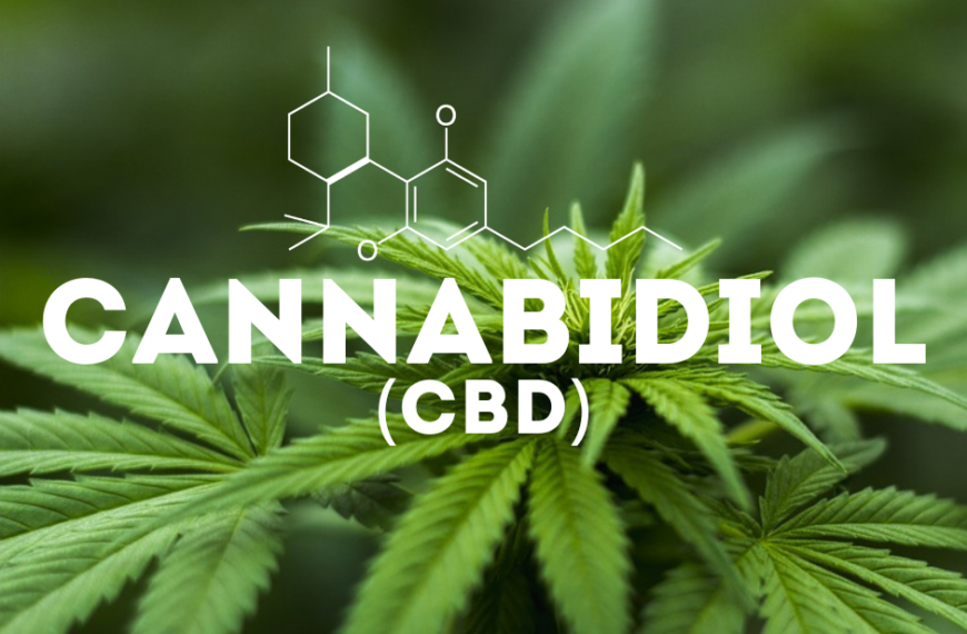 CBD y la inflamación